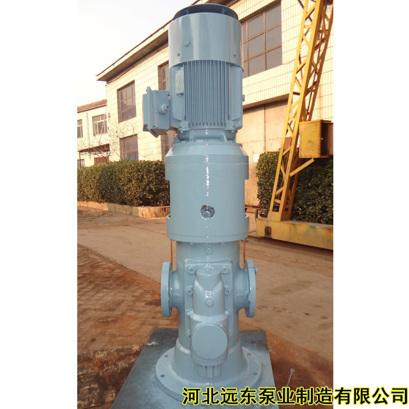SNS940R46U12.1W21立式安装螺杆泵